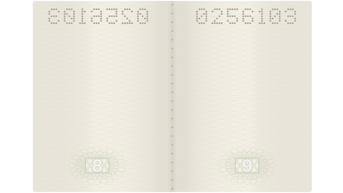 An open passport with blank pages
